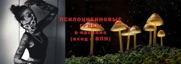 гидропоника Богданович