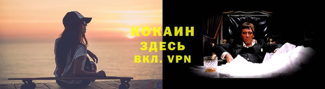 прущая мука Богородицк
