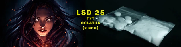 гидропоника Богданович