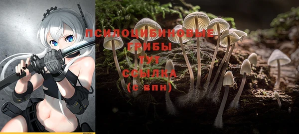 прущая мука Богородицк