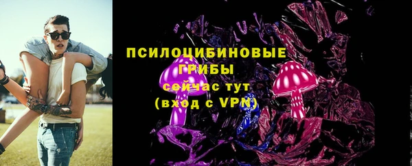 прущая мука Богородицк