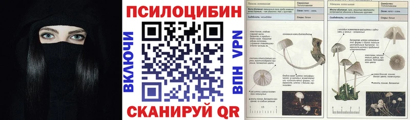 блэк спрут как войти  Корсаков  Псилоцибиновые грибы мухоморы 